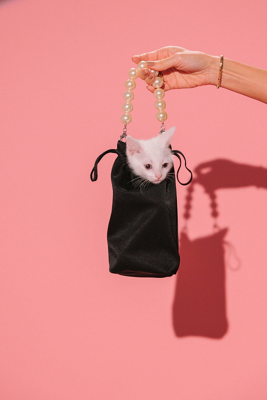  Сумка с жемчужной ручкой 'Роскошь' 